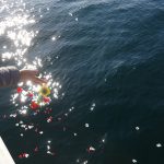 新しいご供養のカタチ「海洋散骨」2
