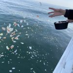 新しいご供養のカタチ「海洋散骨」3