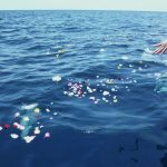 新しいご供養のカタチ「海洋散骨」1