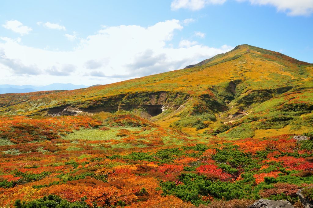 宮城県栗原市 重要無形文化財 正藍冷染との出逢い Vol.1 a! Life ア ライフ｜これからの暮らしスタンダード