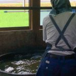 宮城県栗原市 重要無形文化財 正藍冷染との出逢い　Vol.２