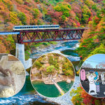 福島県 会津若松市「紅葉も！ ソウルフードも！ 猫さんもっ！」