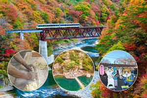 福島県 会津若松市「紅葉も！ ソウルフードも！ 猫さんもっ！」